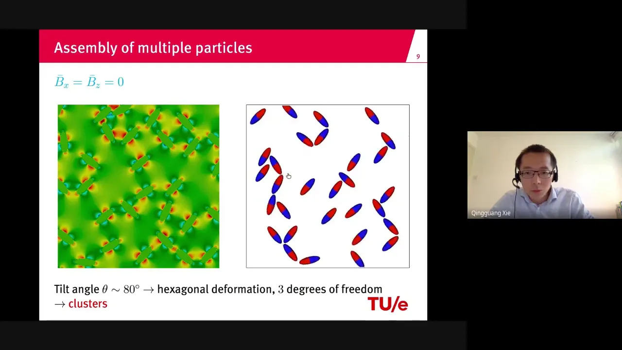 Technical Session 2 - Soft Matter 1 - virtual room Palma