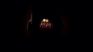 پشتو شاعری Official 