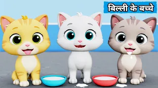 billi ke bache cat cartoon cat videos cat meowing cat kittens billi meow meow cats