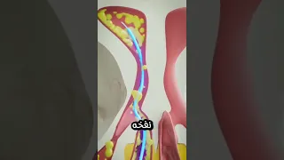               دندنها