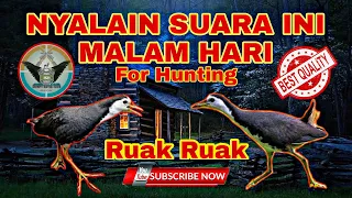 Download suara pikat ruak ruak spesial siang dan malam sangat ampuh MP3