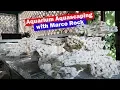 Lagu Aquascaping voor zoutwateraquaria met droge Marco-rotsen