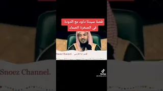 قصة سيدنا داود مع الدودة في الصخرة الصماء فضيلة الشيخ محمد علي الشنقيطي 