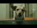 Een kijkje bij DOA | Lifestyle for Pets
