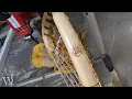 Super CLEAN Bear Paw burn on a Box Pro