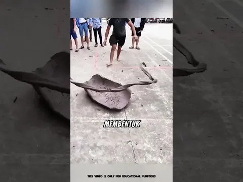Permainan Unik di Vietnam yang Dipercaya Bisa Mengusir Nasib Buruk! 🐱 #short