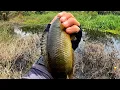 Download Lagu Akhirnya Nemu Spot Mancing Yang Isinya Banyak Dihuni Ikan Betok Monster || SEDULUR FISHING