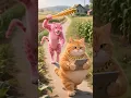 Download Lagu Dori Dori dam dam | duri duri dam dam #cartooncat #dori #cartoon #billi #tiktok #cartoonify #toonme