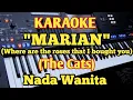 Download Lagu Marian||The Cats||Female - Music By Putra