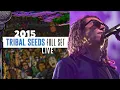 Download Lagu Tribal Seeds - Full Show - California Roots VI