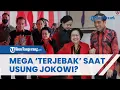Download Lagu TERKUAK Alasan Megawati Tetap Usung Jokowi Walaupun Dicurigai Suaminya, Ternyata Terjebak?