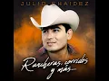 Hay Veces Que El Pato Nada - Julio Chaidez