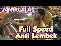 Download Lagu Jambu alas || Yosi cakraningrat