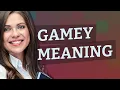 Gamey meaning of Gamey