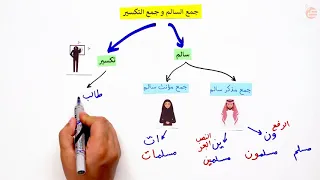مراجعات عين جمع السالم وجمع التكسير 