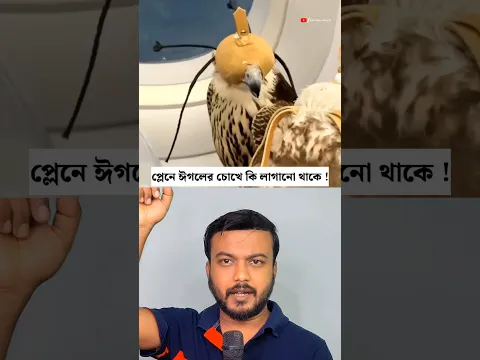 প্লেনে ফ্যালকনের চোখ ঢাকা থাকে কেন?