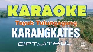 Download KARANGKATES TAYUB TULUNGAGUNG KARAOKE MP3