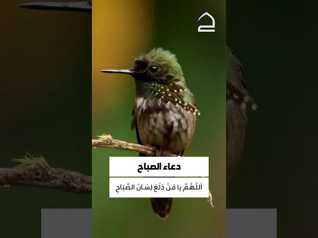 دعاء الصباح 