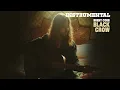 Brent Cobb - Black Crow - Instrumental