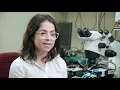 Florida State University College of Medicine Department of Biomedical Sciences