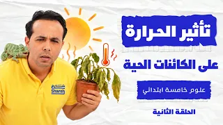 تأثير الحرارة على الكائنات الحية | علوم خامسة ابتدائي | الحلقة الثانية
