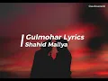 Download Lagu LYRICS: Gulmohar - Atithi Bhooto Bhava - Shahid Mallya