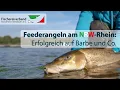 Feeder fishing on the Rhine in North Rhine-Westphalia Successful fishing for barbel and other sp