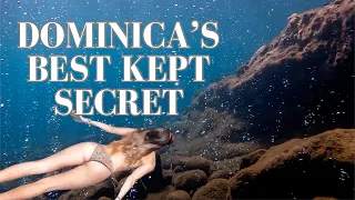 Dominica’s Best Kept Secret. Episode 41