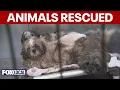More than 100 animals rescued from home homeowner faces cruelty charge