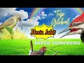 Download Lagu Masteran Pelatuk Kaki Empat, Prenjak Betina, Pijantung || Masteran Burung Super Cempreng