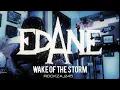 Download Lagu EDANE -  Wake Of The Storm (cover) album Jabrik