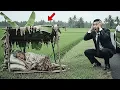 Lagu Niat Beri Kejutan Saat Pulang, Tangis Miliarder Pecah Temukan Ibunya Jadi Gembel di Pinggir Sawah