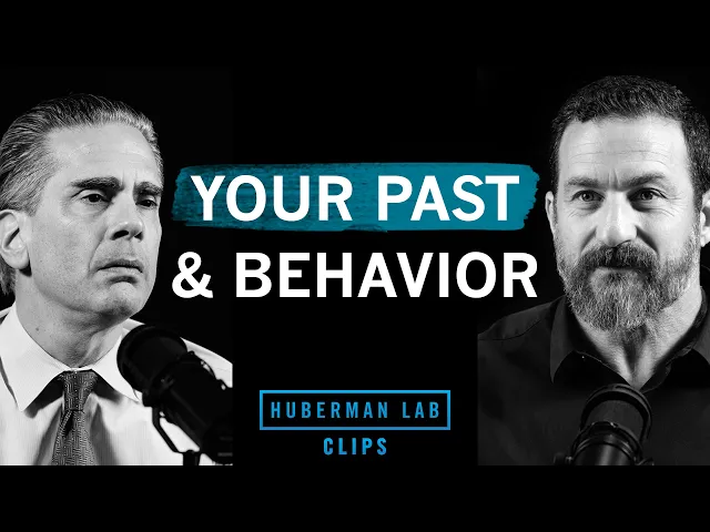 Video: Understand How Your Past Affects Your Behavior | Dr. Paul Conti & Dr. Andrew Huberman