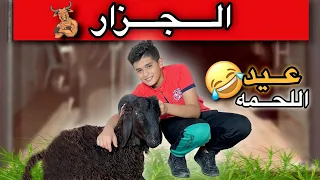 لما ابوك يقرر يجيب لحمة العيد ملوك السعاده 