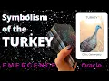 Spiritual Meaning of TURKEY Have FAITH in Your Ability to FLY
