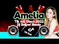 Download Lagu DJ AMELIA TIK TOK DANCE DISCO ZUMBA|DJ SNIPER REMIX