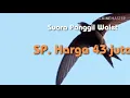 SUARA PANGGIL WALET || SP. HARGA 43 JUTA