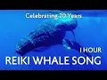 Download Lagu 1 Hour Whale Music for Relaxation and Meditation | Reiki Whale Song