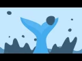 Big Fish Hive Templates After Effects Project Files