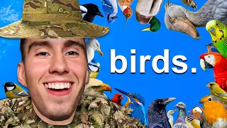 Birds in a Nutshell