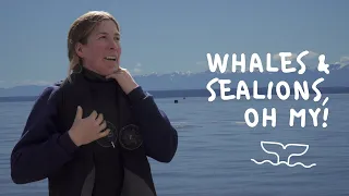 EP 24 | I Rescued our Drone in 100′ of Water! | Diving & Sailing British Columbia