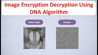 Image Encryption Decryption Using DNA Algorithm Image Encryption Decryption Using Matlab Code