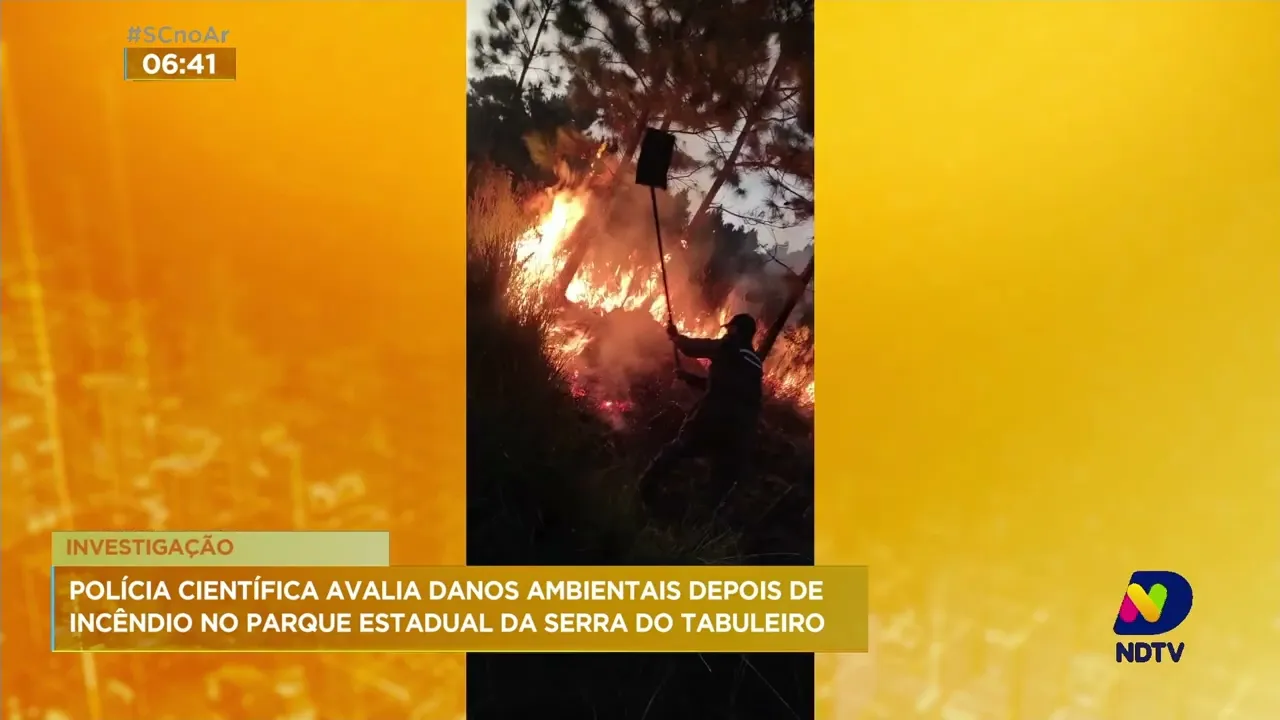 São investigados danos ambientais do incêndio que atingiu o Parque da Serra do Tabuleiro, em Palhoça