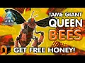 EASY QUEEN BEE TAME GET HONEY ARK Survival Ascended