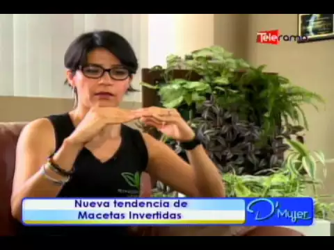 Nueva tendencia en macetas invertidas