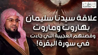 محمد الشنقيطي قصة سيدنا سليمان عليه السلام و ذهابه إلى مملكة الجن و علاقة ذلك بهاروت و ماروت 