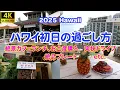 Download Lagu 2025 Hawaii 初日の過ごし方　絶景カフェランチ、お土産購入、絶品プレート、爽快ドライブetc.６泊８日ハワイ旅〈初日編〉