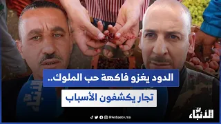 الدود يغزو فاكهة حب الملوك تجار يكشفون الأسباب 