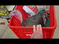 George and Jerry at Tractor Supply