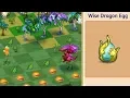 Merge Dragons - Gathering Glowing Dragon Tree for Amber for Purple Chest for Wise Dragon Eggs